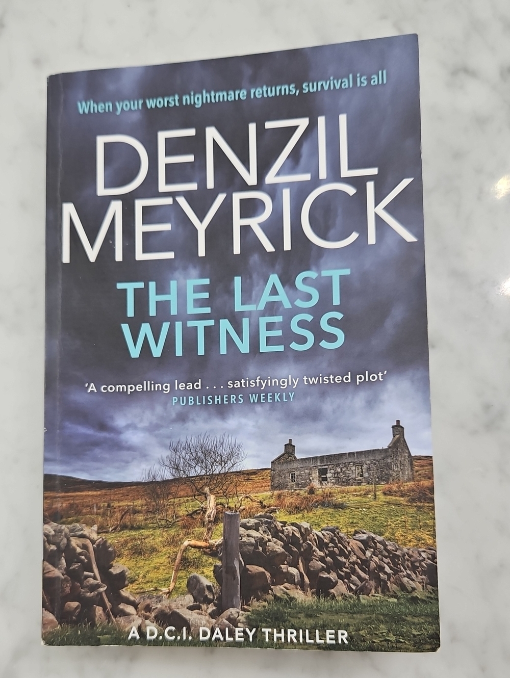 - The Last Witness By Denzil Meyrick